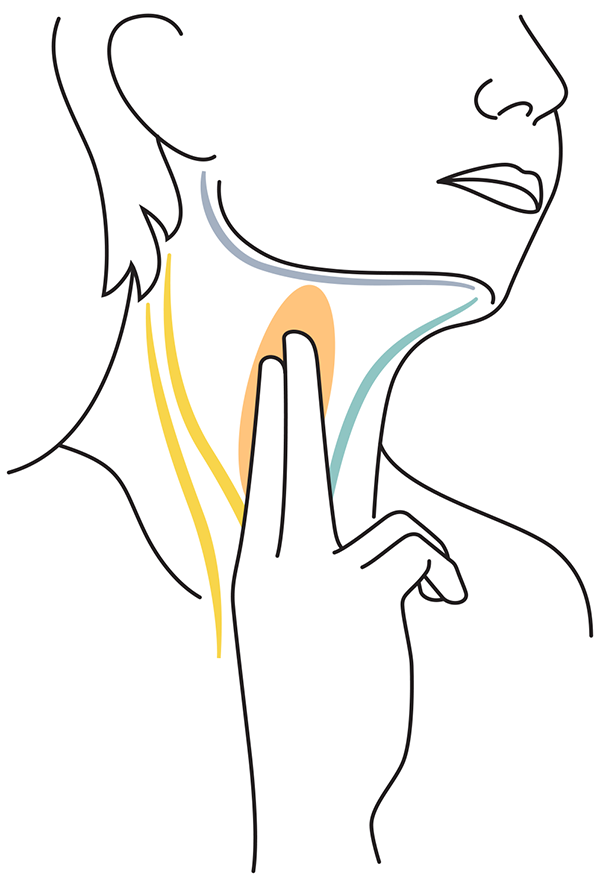 Prepare the dose illustration of treatment location
